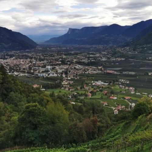 Blick auf Meran