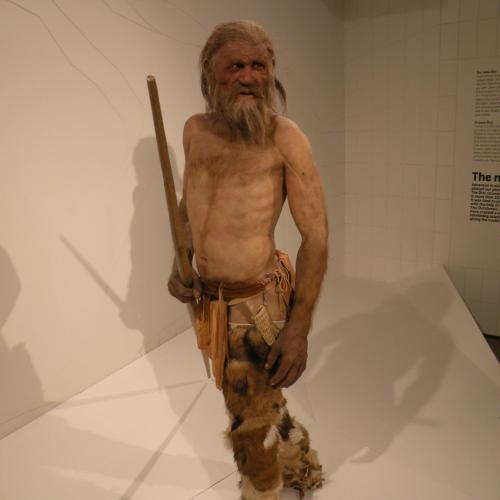 Ötzi
