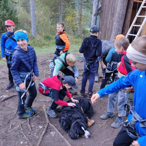 Kinder beim Warten auf den Flying Fox und beim Streicheln eines Hundes 