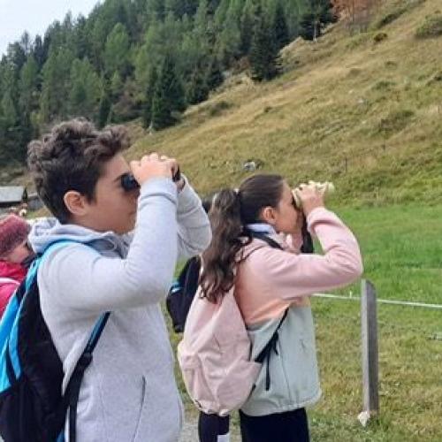 Hohe Tauern