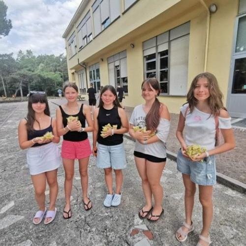 Lignano
