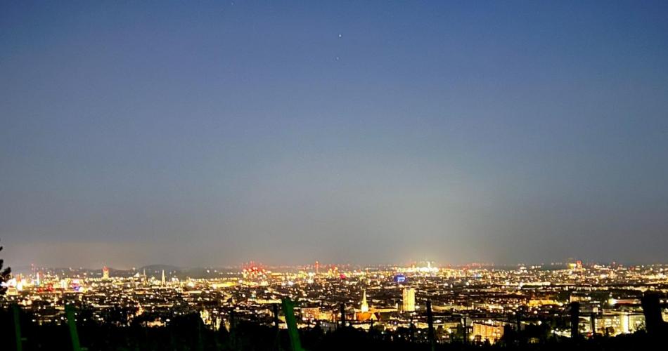 Wien bei Nacht